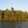 Freeman Lake 2010_013